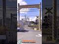 【踏切 電車】なにが通るかな???【ふみきりショート動画258】 #shorts