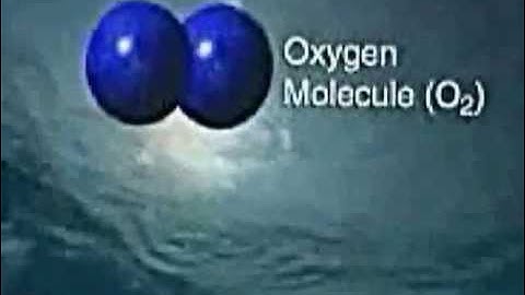 WHY OZONE and What does it do?