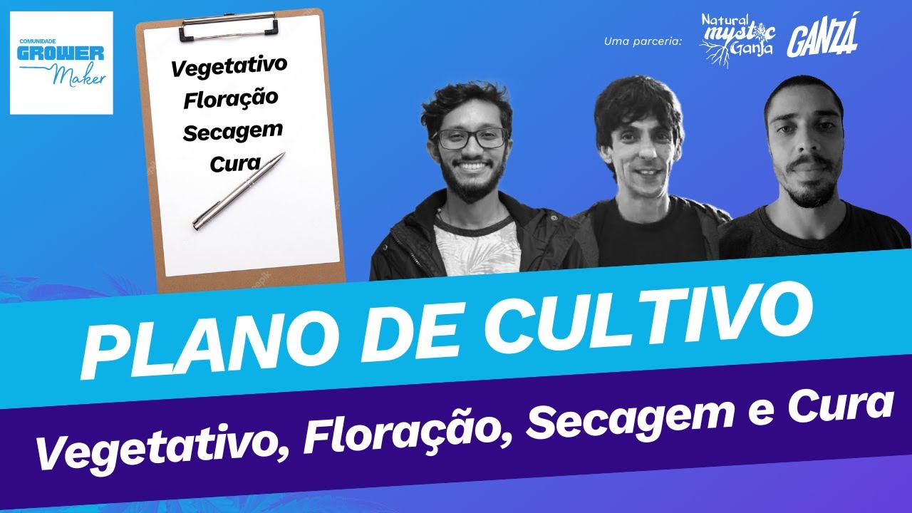 O Plano de Cultivo: Vegetativo, Floração, Secagem e Cura
