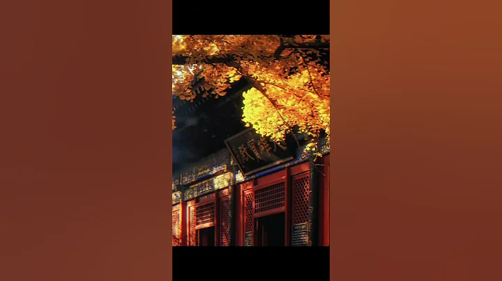 人生这部大戏，一旦拉开序幕，不管你如何怯场，都得演到戏的结尾。 - 天天要闻