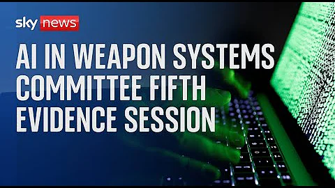 AI in Weapon Systems Committee holds fifth evidence session - DayDayNews