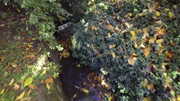 Flood water path