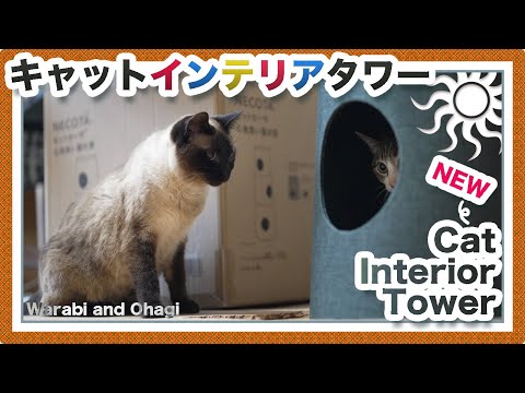 猫のキャットインテリアタワー