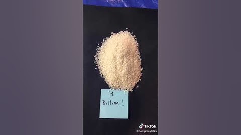 Jeff Bezos wealth in Rice