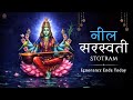 The Savage Mother of Wisdom | Nil Saraswati Stotram That Breaks Fear and Delusion