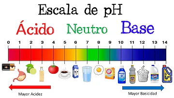 ¿Qué son los ácidos las bases y el pH?