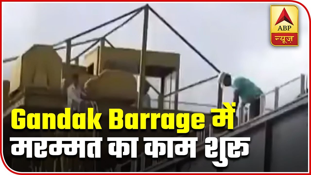 Reparation Work Begins On Gandak Barrage | ABP News