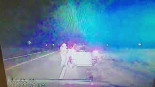 Lane County Sheriff Dash Cam Footage