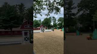 Otto Fieldstone Summer Showcase 2 Training Hunters