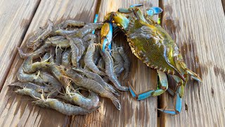 Catching Fresh SEAFOOD From the Bank | Crab and Shrimp Catch and Cook