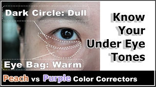 How To Reduce Puffy Under Eye Bags & Dark Circles w/ Color Correcting Concealers