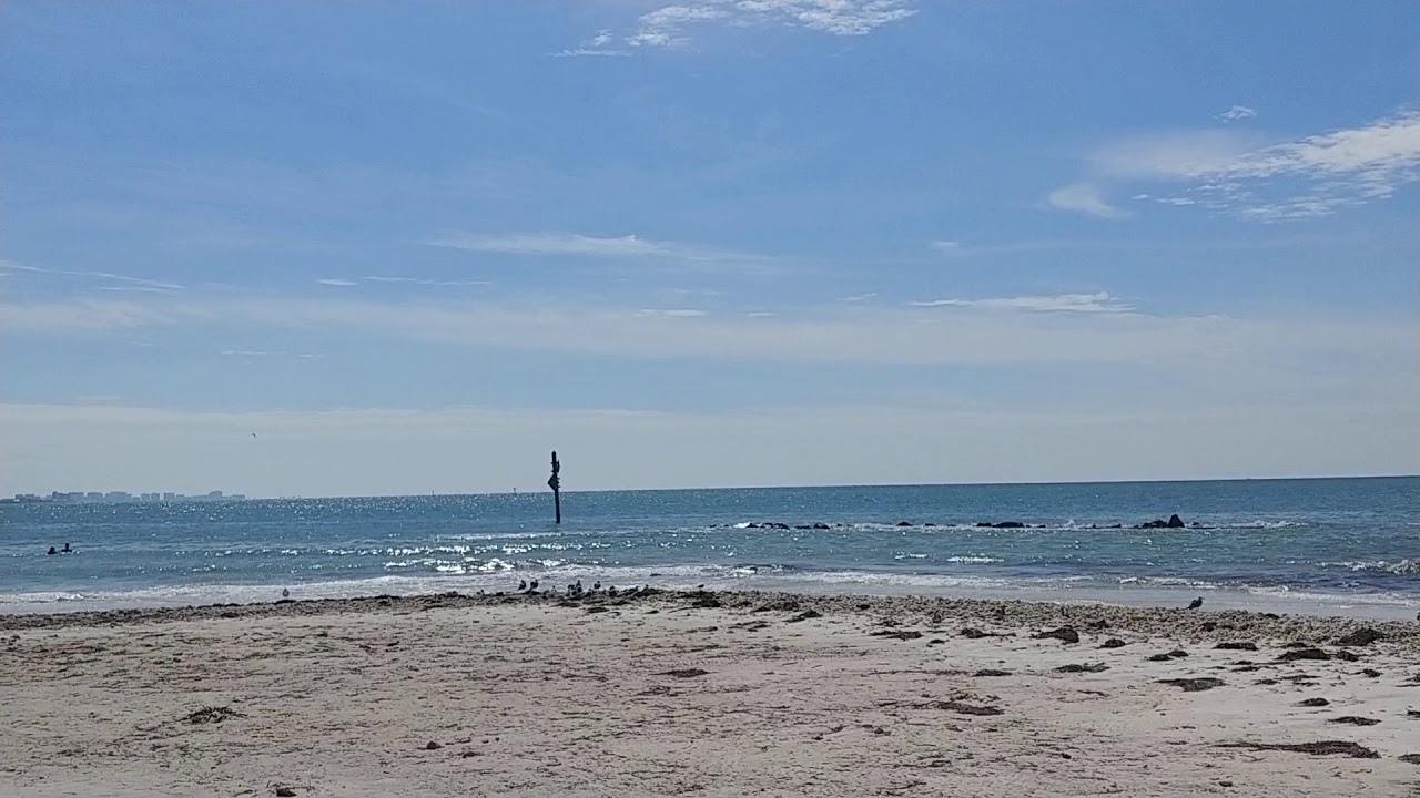 Honeymoon Island YouTube