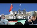 Halal travel in inner mongolia  my wife gave me a green hat half ocean half flame