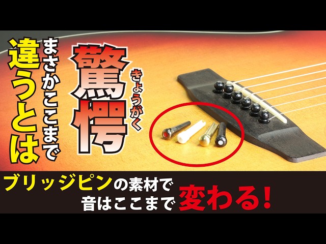 徹底比較】ブリッジピン5種！音は変わるのか？まさかの結果に驚き