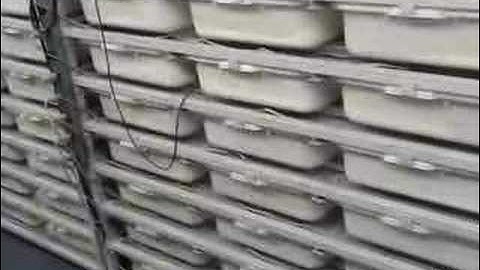 Heating Snake Racks - part 2