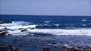 ひたち海浜公園20140424-秋風春風