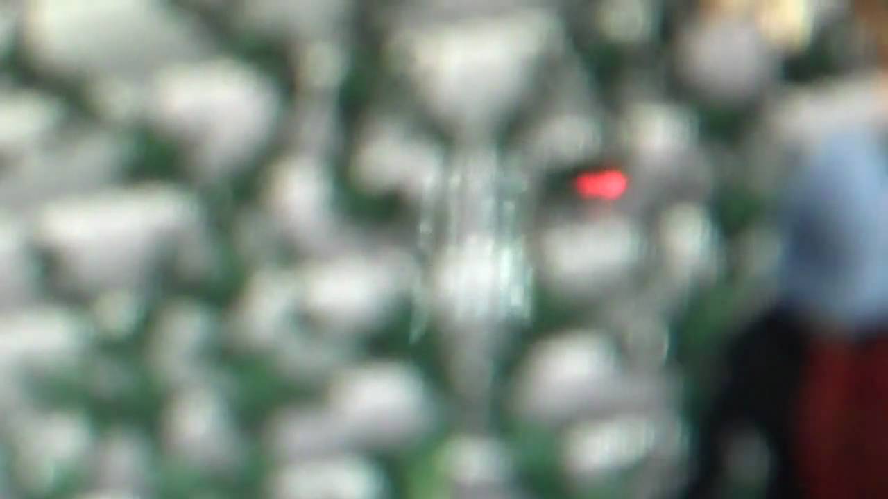 runescape woodcut ivy YouTube