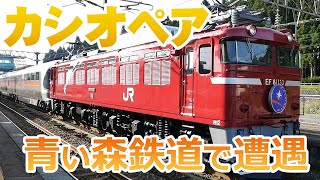 【カシオペア】超~偶然!青春18きっぷで旅行中に、青い森鉄道・野辺地駅でまさかの遭遇。「カシオペア紀行」で現役走行中、EF81133もカッコいい! 【カシオペア】超~偶然!青春18きっぷで旅行中に、青い森鉄道・野辺地駅でまさかの遭遇。「カシオペア紀行」で現役走行中、EF81133もカッコいい!