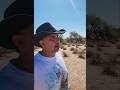 Wild Cowboy sees Superman #superman #funnyvideo #az #funnyshorts #funny #comedy #comedyvideos #texas