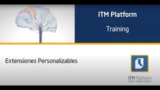 Extensiones Personalizables en ITM Platform screenshot 5