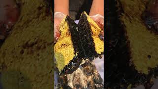 🔥 Real Black Honey – Impossible to Mass Produce 🍯#BlackHoney #RareHoney #WildHoney