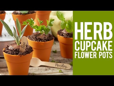 Video: Cara Membuat Cupcake Coklat Pot Bunga Flower