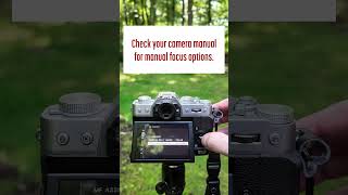 Focus Peaking for Infrared Photography