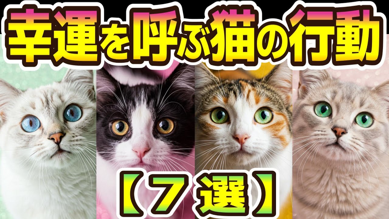 【猫スピリチュアル】見逃すな！幸運の前兆とスピリチュアルサイン✨運気UPは猫が教えてくれる！