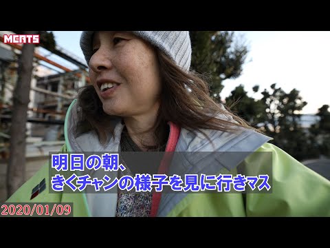 【多摩川猫・9日と10日朝エリア５】10日の午後、餌やり叔父さんに頼みます【10日午後お休みです】