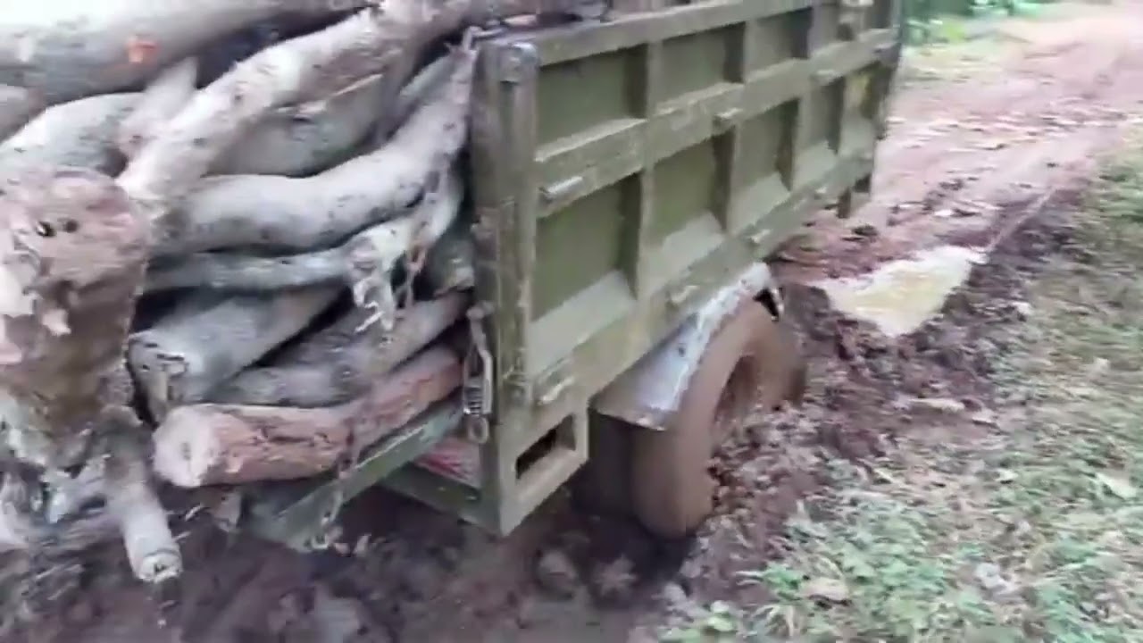 Xe ba gác bánh đôi chở củi mùa mưa đường trơn ✅Tricycle carrying firewood in the rainy season