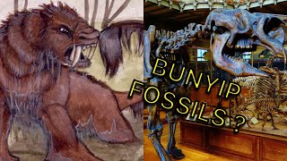 What is the Bunyip (and is it real)?  |  Creature Feature Episode 4