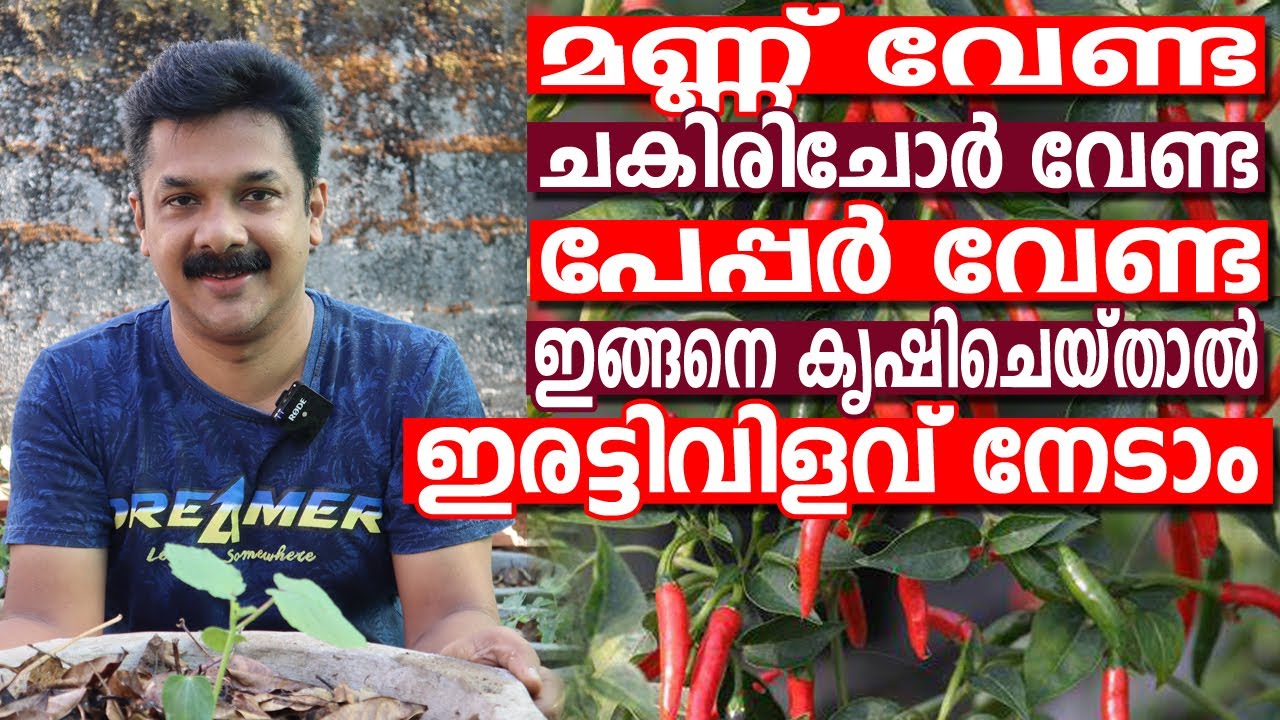 മണ്ണ് വേണ്ട, ചകിരിച്ചോർ വേണ്ട, ന്യൂസ് പേപ്പർ വേണ്ട, പച്ചക്കറികൃഷി പൊടിപൊടിക്കാൻ  ഇങ്ങനെ ചെയ്‌താൽ മതി