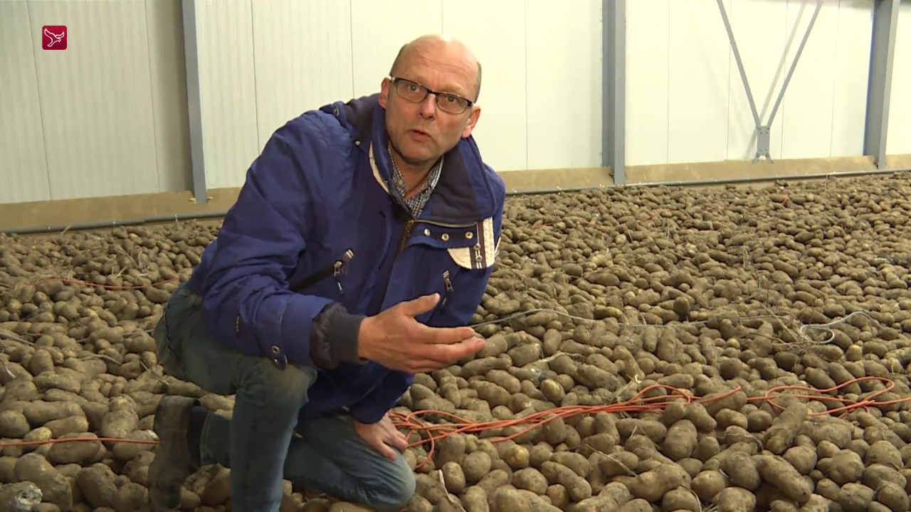 Langer aardappels opslaan met hulp computer