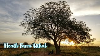 Download Lagu Balochistan Ka Khoobsurat Farm Uthal Hoath Farm MP3