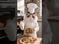 Pizza and the Cat Chef 🐱🍕 #cat #dog #cartoon #cute #cats #animation #kidsstory #cutecat #3danimation