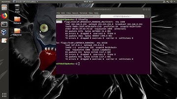 Part 1 Installing and setting up cuckoo 2.0.4