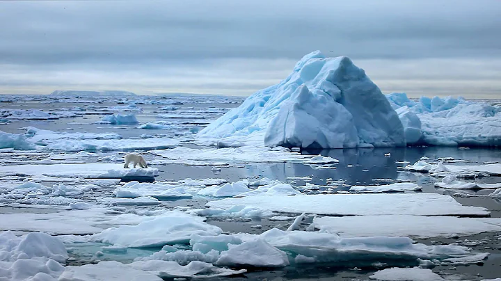 WWF Coca Cola Arctic Home Video.mov