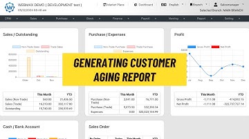 (华语) Customer Report - Customer Aging Report (Webmax ERP System) (V3)