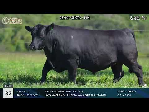 LOTE 032