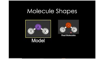 Molecule Shapes Lab