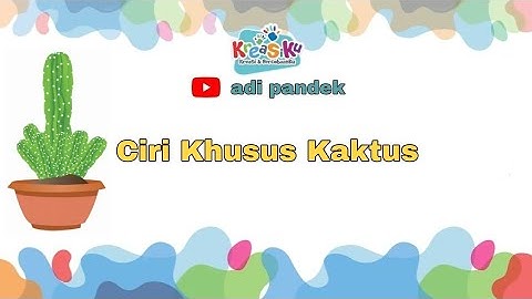 Apa ciri-ciri khusus yang dimiliki oleh tumbuhan kaktus