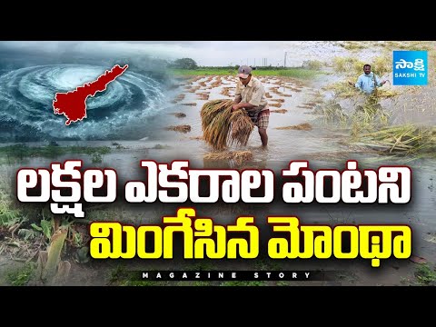 Magazine Story: గాలి.. నీరు.. కన్నీరు | Huge Crop Loss In AP, Montha Cyclone Effect | AP Floods - SAKSHITV