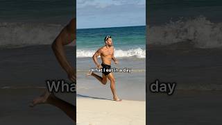 What a High Performance Human Eats in a Day