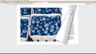 How to Publish a Digital Magazine from InDesign: 3 - Digital Flipbook with Spreads