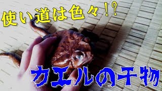 カエルの本革財布