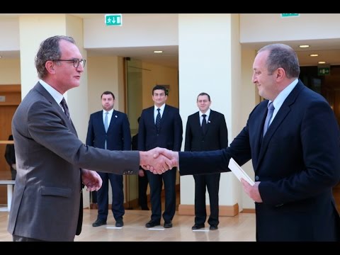 პრეზიდენტს ნიდერლანდების სამეფოს ახლადდანიშნულმა ელჩმა რწმუნებათა სიგელები გადასცა