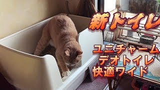 ユニ・チャーム『デオトイレ快適ワイド』【猫日記こむぎ＆だいず】2018 06 03