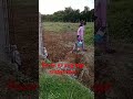 Farmers