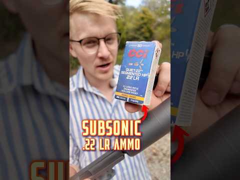 Is Subsonic 22lr Worth It?
