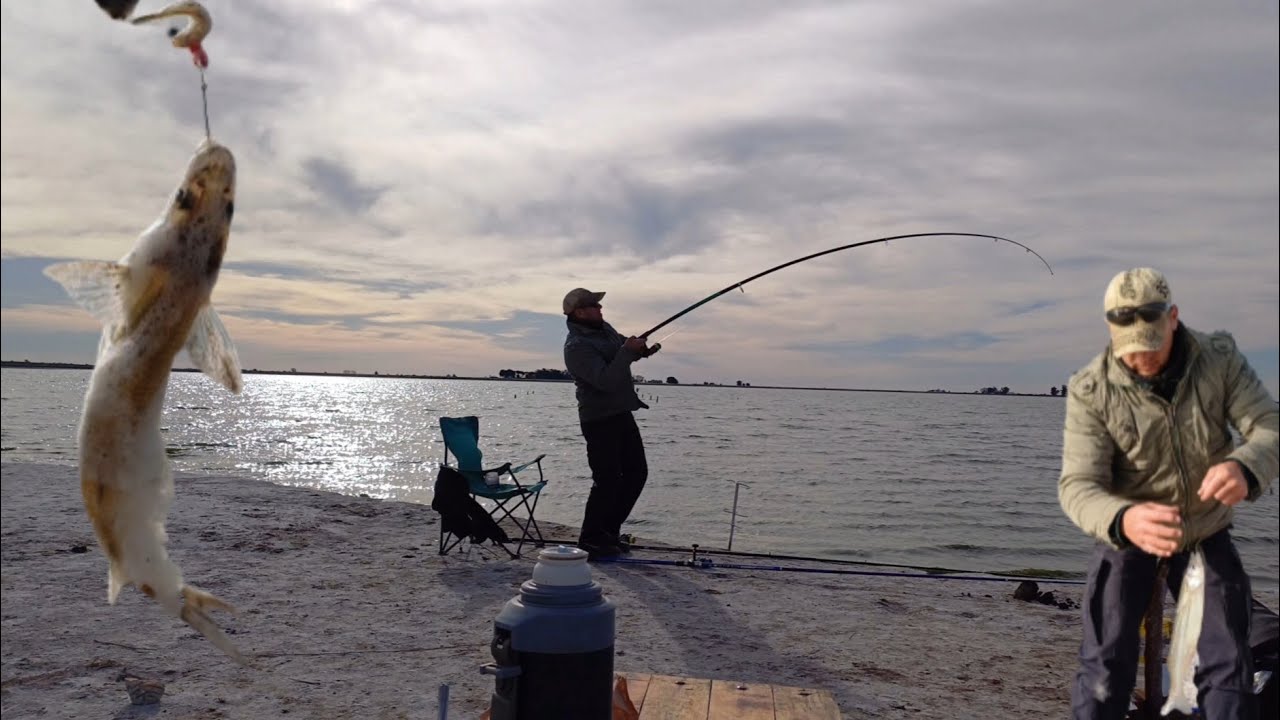 PESCA de PEJERREYES en Hinojo Chico 